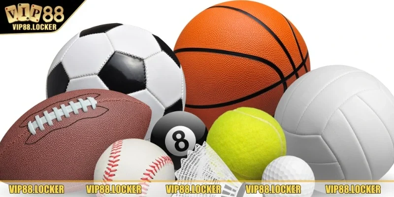 Tính năng vượt trội ở BTI sports