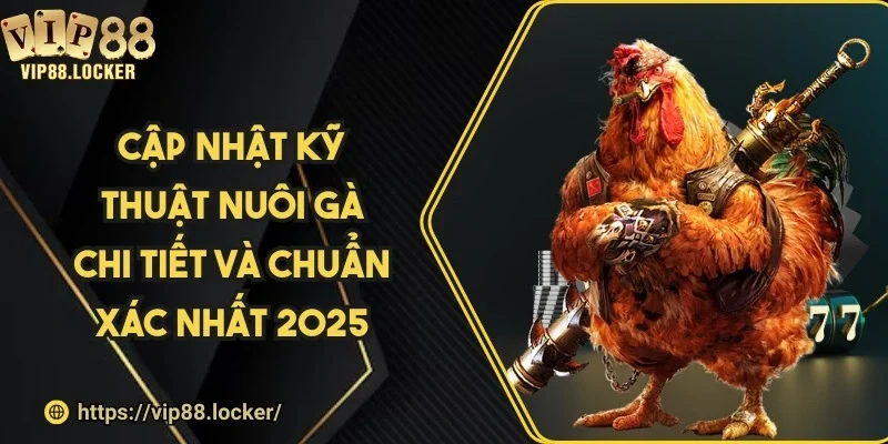 Cập nhật kỹ thuật nuôi gà chi tiết và chuẩn xác nhất 2025