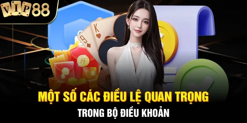 Một số các điều lệ quan trọng trong bộ điều khoản